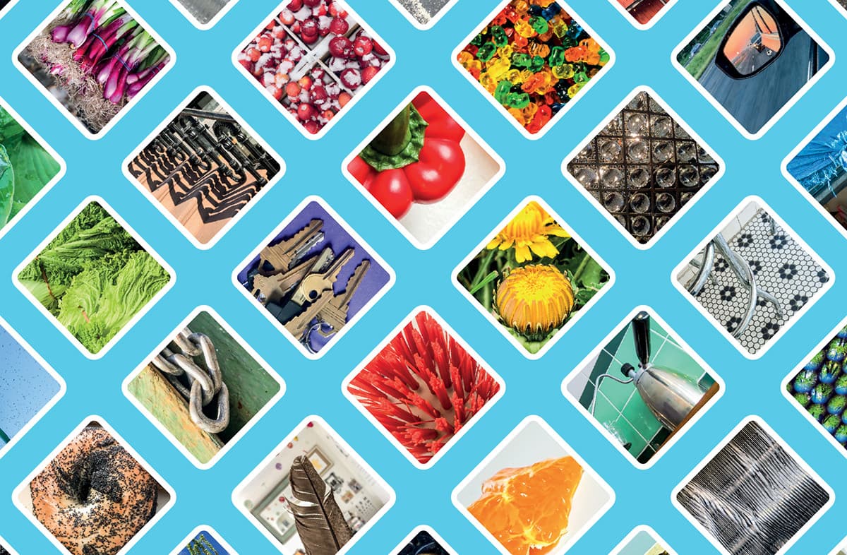 Image of OuiSi Image of OuiSi